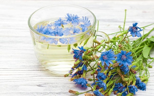 تصویر 4 از قیمت خرید عرق کاسنی دو آتیشه عمده به صرفه و ارزان